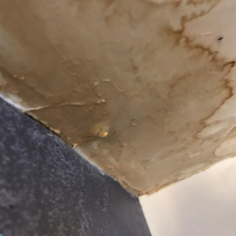 Brown water stains and peeling paint on a ceiling