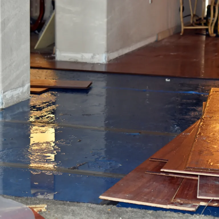 Standing water covering sections of floor planks in an interior room