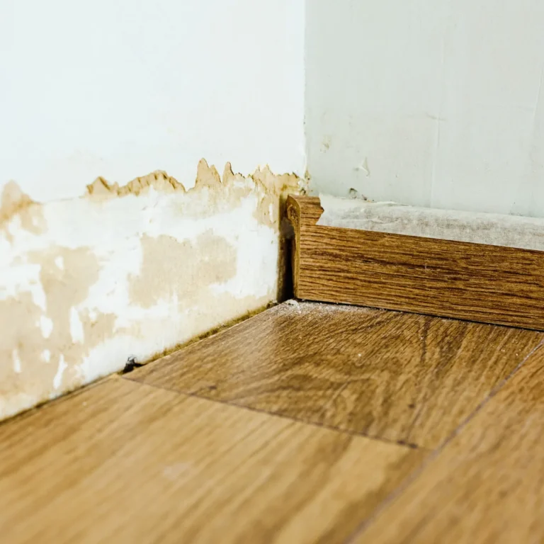 Discolored drywall and damaged trim at the base of an interior wall